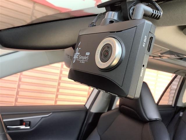 �h�����R�t���ł������̂Ƃ������S�ł��B