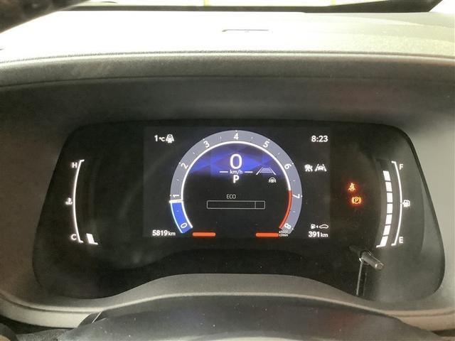 �����x�����ł̂��w�������X�ɂ��C�����������B������-����{-�i�X���p�A�ی��𗍂߂��v�������������܂��B