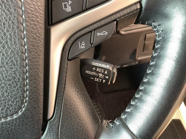 �Ԍ��E�_���E�p�i���t���A������̎��̑Ή��܂ŁA���C�����������B