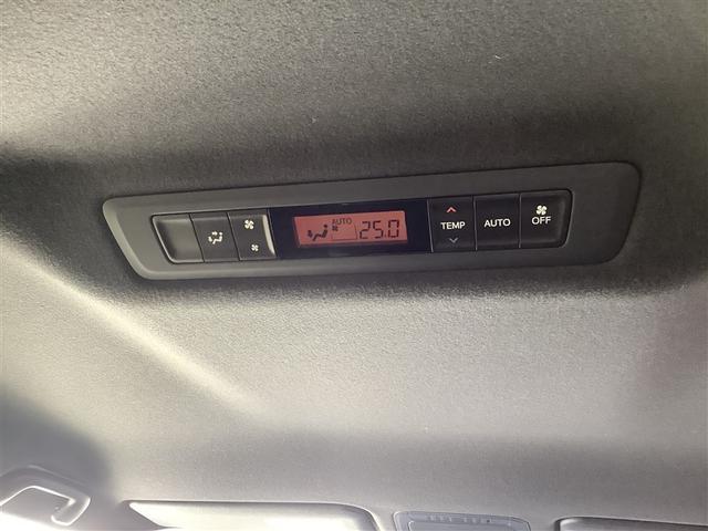 ���g���^�F�蒆�ÎԂ̈��S�Q�@�ԗ������ؖ����t�����g���^�F��ԗ��������̖ڂŌ������ԗ����`�F�b�N�I