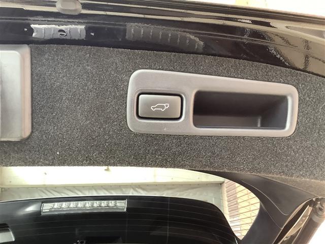 ハリアー プレミアム　トヨタ認定中古車　サンルーフ　フルセグ　メモリーナビ　ＤＶＤ再生　Ｂｌｕｅｔｏｏｔｈ　ミュージックプレイヤー接続可　バックカメラ　衝突被害軽減システム　ＥＴＣ　ドラレコ　ＬＥＤ　ワンオーナー　記録簿（30枚目）