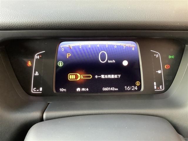 �����x�����ł̂��w�������X�ɂ��C�����������B�������|����{�|�i�X���p�A�ی��𗍂߂��v�������������܂��B