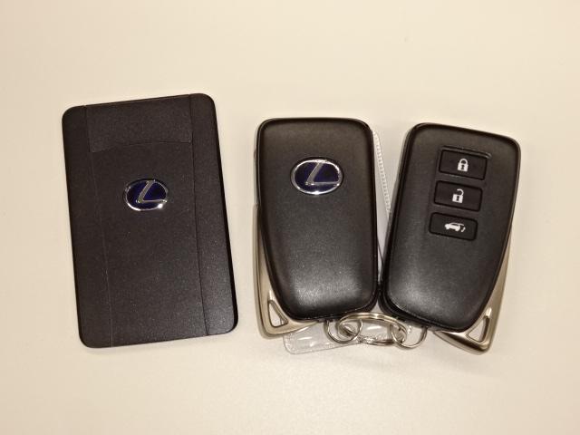NX300h Iパッケージ ワンオーナー輸入車ディーラー下取(19枚目)