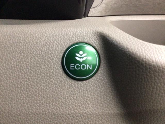 Ｎ－ＷＧＮ Ｇ・Ｌパッケージ　ＨＩＤ・ワンセグ・メモリナビ・バックカメラ・ＥＣＯＮスイッチ・スマートキー　１オーナー車　ナビＴＶ　サイドエアバッグ　Ａストップ　ＶＳＡ　イモビライザー　オートエアコン　ＵＳＢ　ＥＴＣ付き　キーフリー（10枚目）