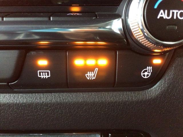 ＣＸ－３０ ２０Ｓプロアクティブツーリングセレクション　ＬＥＤ・フルセグ・メモリナビ・バックカメラ・シートヒーター・純正ＡＷ・ＥＴＣ　クルーズコントロール　Ｆカメラ　ナビＴＶ　ＤＶＤプレーヤー　フルセグＴＶ　アドバンスドキー　Ｐシート　ＬＥＤヘッドライト（28枚目）