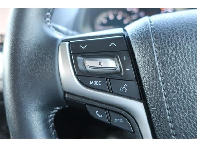 ランドクルーザープラド ＴＸ　Ｌパッケージ　革シート　サンルーフ　４ＷＤ　フルセグ　メモリーナビ　ＤＶＤ再生　バックカメラ　衝突被害軽減システム　ＥＴＣ　ＬＥＤヘッドランプ　ワンオーナー（15枚目）
