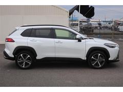 󥰥ݾڡ壱ǯ̵֡ݾڤޤͭαĹݾڤ⤢ޤ 3