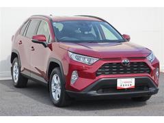 󥰥ݾڡ壱ǯ̵֡ݾڤޤͭαĹݾڤ⤢ޤ 2