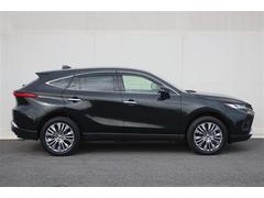 󥰥ݾڡ壱ǯ̵֡ݾڤޤͭαĹݾڤ⤢ޤ 3