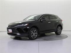 ͥ줿ǽ˲äޤޤʥ饤ե˹äȤǽˤӣգ֥ǥǤ 2