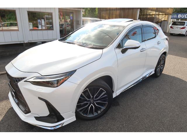 ＮＸ ＮＸ３５０ｈ　バージョンＬ　モデリスタエアロ＆バックドアエアロプレート　フェンダーアーチモール　ＳＲ　ヘーゼル内装　本革エアシートヒータ　３眼ＬＥＤヘッドライト＆フォグ　デジタルインナーミラー　おくだけ充電　ＢＳＭ　禁煙車（8枚目）