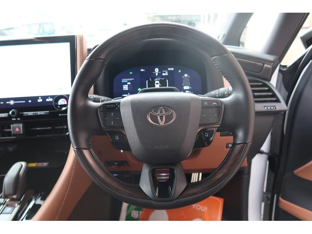 ヴェルファイアハイブリッド Z プレミア JBLサウンド&14型リヤエンターテインメント アドミレーションカーボンコンビエアロ&リヤスポ BCフォージド22アルミ KW車高調 イデアルブレーキキット SR サンセットブラウン 寒冷地仕様 禁煙(46枚目)