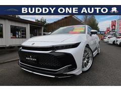 饦󥯥С ңӥɥХ󥹥ɡܣȣ֡ףġӣҡǥꥹ顼ɥե륷㥤󥭥å 1020061A30251105W001 2