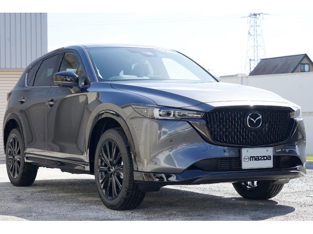 ＣＸ－５ ＸＤスポーツアピアランス　サンルーフ　ＢＯＳＥ　パワーゲート　サンルーフ　パワーリフトゲート　ハンズフリーパワーリフトゲート　ＢＯＳＥ１０スピーカ　シグネチャーウィングブラッククローム　フロントグリルブロックメッシュグロスブラック　運転席助手席パワーシート（12枚目）