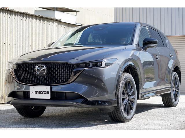 ＣＸ－５ ＸＤスポーツアピアランス　サンルーフ　ＢＯＳＥ　パワーゲート　サンルーフ　パワーリフトゲート　ハンズフリーパワーリフトゲート　ＢＯＳＥ１０スピーカ　シグネチャーウィングブラッククローム　フロントグリルブロックメッシュグロスブラック　運転席助手席パワーシート（13枚目）