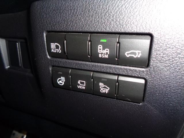 NX300h Fスポーツ(13枚目)