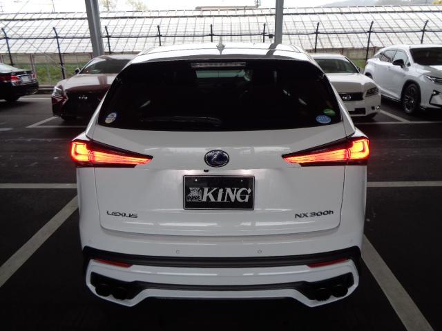 NX300h Fスポーツ(19枚目)
