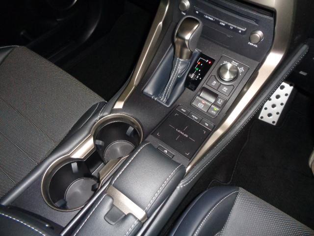 NX300h Fスポーツ(20枚目)