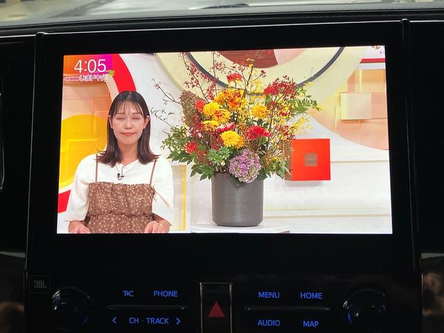 アルファード ２．５Ｓ　Ｃパッケージ　サンルーフ　モデリスタフルエアロ　モデリスタ２０インチＡＷ　ＪＢＬサウンド　リアエンター　デジタルインナーミラー　ＤＶＤデッキ　パークアシスト　ＢＳＭ　ＲＣＴＡ　スポーツマフラー（14枚目）