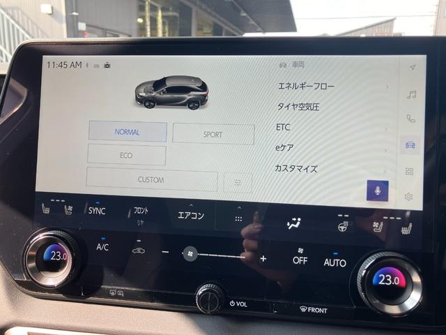 ＲＸ ＲＸ３５０ｈ　バージョンＬ　ワンオーナー　モデリスタフル　パノラマルーフ　デジタルインナーミラー　アドバンスドパーク　前後ドラレコ　３眼ＬＥＤ　パノラミックビュー　後席シートエアコン（51枚目）