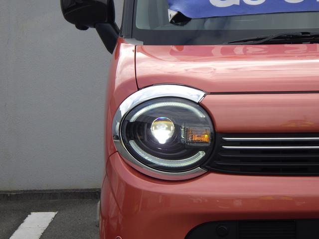 ���F�̃w�b�h�����v�Ȃ̂łƂĂ����邢�ł��I�铹�ł̑��s�����S�ł��B