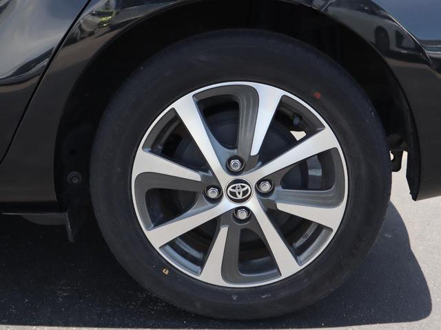 アクア Ｇ　フレンドマチック車　タイプ２　定期点検整備　納車点検整備　フレンドマチック車　タイプ２　専用軽減パワステ　手動運転装置　旋回ノブ　リモコン式専用運転席パワーシート　運転席シートバック中折れ用ストラップ　助手席前倒しストラップ　バックドア用ストラップ（28枚目）