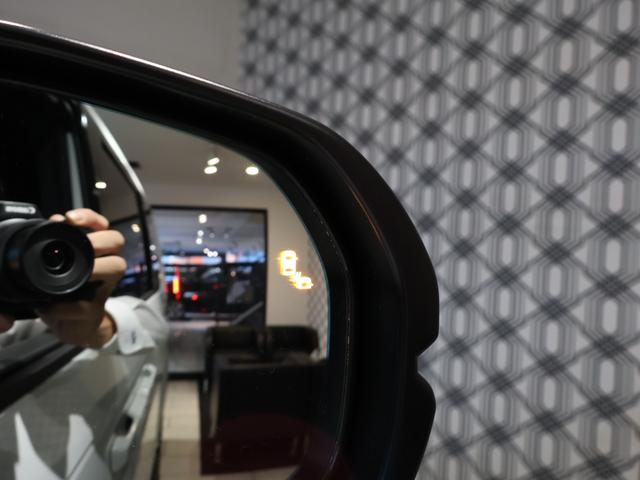 ステップワゴン ｅ：ＨＥＶスパーダ　プレミアムライン　登録済未使用車　純正１１．４型ナビＴＶ　マルチビューカメラシステム　両側パワースライドドア　パワーバックドア　ＬＥＤヘッドライト　ブラインドスポットインフォメーション　ハーフレザーシート　純正アルミ（34枚目）