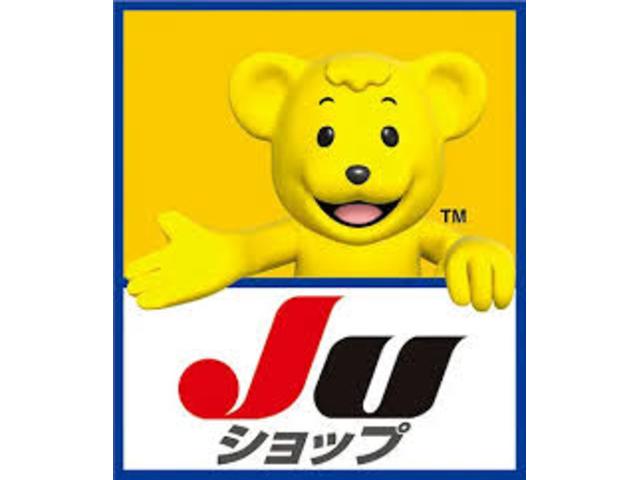 Ｎ－ＯＮＥ プレミアム　ツアラー・Ｌパッケージ　ナビ／テレビ／バックカメラ／ＥＴＣ／ローダウン／スマートキー／プッシュスタート／ディスチャージライト／（64枚目）