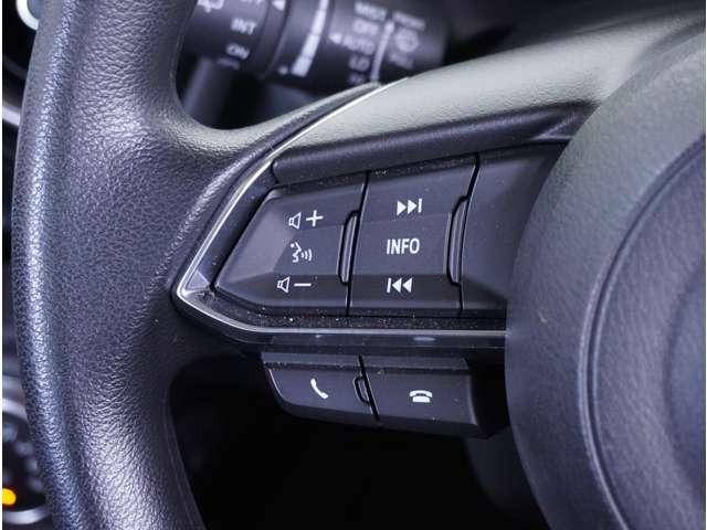 ＭＡＺＤＡ２ １．５　１５Ｓ　プロアクティブ　スマート　エディションＩＩ　３６０°ビュー・モニター　ナビ　ドラレコ　ＥＴＣ　３６０°ビューカメラ　ＤＶＤプレーヤー　オートエアコン　ＬＥＤライト　ＭＲＣＣ　フルセグ　前席シートヒーター　衝突軽減ブレーキ　ＥＴＣ　禁煙車（45枚目）