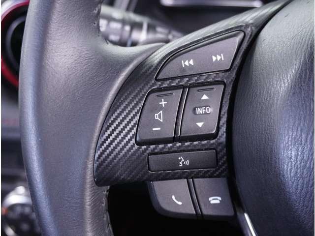 ＣＸ－３ １．５　ＸＤ　ツーリング　ディーゼルターボ　ＢＯＳＥ　純正ナビ　バックカメラ　ドライブレ　地デジ　サイドエアバック　オートクルーズコントロール　パワーウィンドウ　アルミホイール　パワーステアリング　ＥＴＣ車載器　禁煙　ＡＵＸ　ＴＶナビ　エアコン（45枚目）