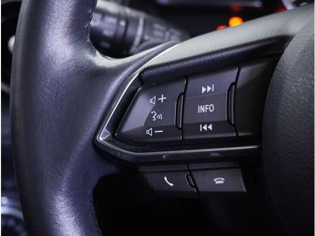 ＣＸ－３ ２．０　２０Ｓ　プロアクティブ　Ｓパッケージ　３６０°ビュー・モニター　純正ナビ　ドライ　バックモニター　Ａストップ　運転席パワーシート　ミュージックプレイヤー接続可　エアコン　クリソナ　パワステ　スマートキー＆プッシュスタート　メモリーナビ（48枚目）