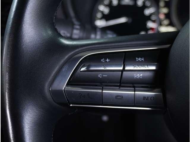 �y�X�e�A�����O�X�C�b�`�z�^�]���A�O������ڐ������炷���ƂȂ��A�I�[�f�B�I���̑��삪�\�ȕ֗��@�\�B���S�����K�h���C�u�ɂ̓}�X�g�ȑ����B