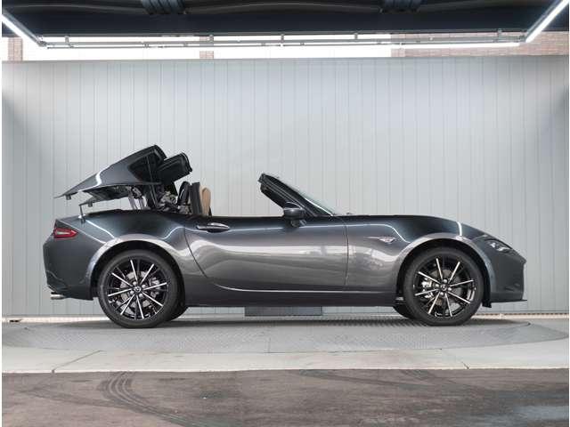 �y�O���N���[�j���O�ς݁z�O�������Ɏ��ɂ�������Ɛ�Ԃ��Ă���܂��B