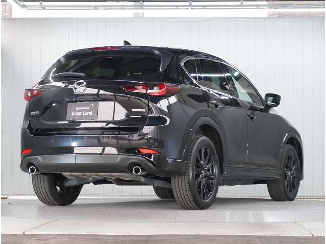 �y�������{�f�B���C���z���ՓI�Ȕ���������l�̊������h�����܂��B�V���v���ł���Ȃ���L���Ȕ��������P���A�}�c�_�̐V���ȃG���K���X�������ɂ���܂��B