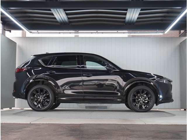 �y���̂���{�f�B�z�O�����ڗ��L�Y���������R���f�B�V�����ǍD�ł��B���ۂɌ��Ԋm�F����������̕��ł��I�����C�����k���ł��܂��̂ň�x�����k�������B