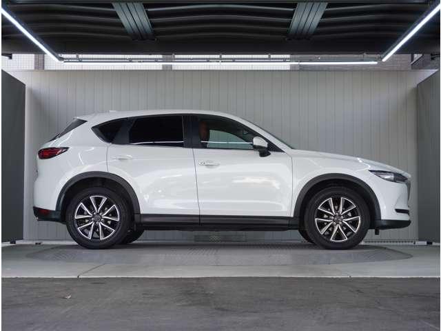 �y���̂���{�f�B�z�O�����ڗ��L�Y���������R���f�B�V�����ǍD�ł��B���ۂɌ��Ԋm�F����������̕��ł��I�����C�����k���ł��܂��̂ň�x�����k�������B