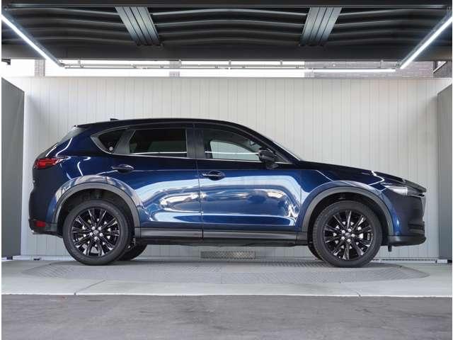 �y���̂���{�f�B�z�O�����ڗ��L�Y���������R���f�B�V�����ǍD�ł��B���ۂɌ��Ԋm�F����������̕��ł��I�����C�����k���ł��܂��̂ň�x�����k�������B