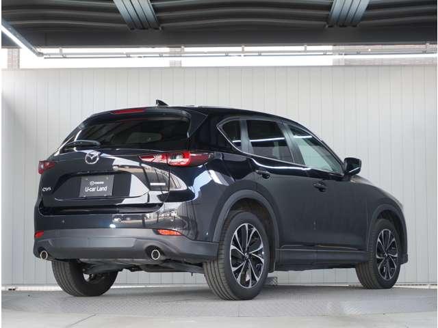 �y�������{�f�B���C���z���ՓI�Ȕ���������l�̊������h�����܂��B�V���v���ł���Ȃ���L���Ȕ��������P���A�}�c�_�̐V���ȃG���K���X�������ɂ���܂��B