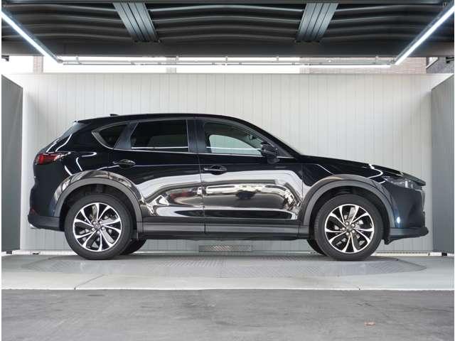 �y���̂���{�f�B�z�O�����ڗ��L�Y���������R���f�B�V�����ǍD�ł��B���ۂɌ��Ԋm�F����������̕��ł��I�����C�����k���ł��܂��̂ň�x�����k�������B