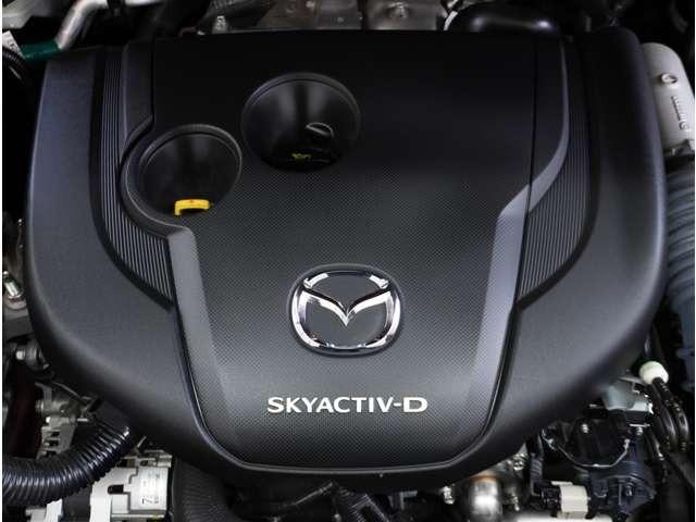 �y�G���W�����[���z���X�����̍��Ǝ��i�ۗL�̐����m���A��������ƃR���f�B�V�����̃`�F�b�N�E�������s���܂��B���̌�̃����e�i���X�����C�����������B