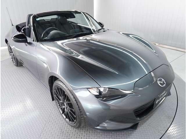 �y���S�̓O��N���[�j���O�z�G���W�����[����V�[�g���ȂǁA�����ɂ��������܂ł�������Ɛ��|�����{�B�O�ꂵ���i���Ǘ��̉��A�C�����̗ǂ��ԑI�т����񑩂��܂��B