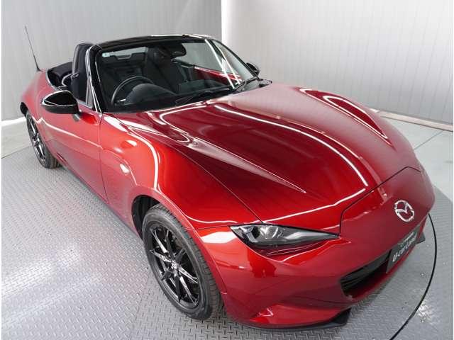 �y���S�̓O��N���[�j���O�z�G���W�����[����V�[�g���ȂǁA�����ɂ��������܂ł�������Ɛ��|�����{�B�O�ꂵ���i���Ǘ��̉��A�C�����̗ǂ��ԑI�т����񑩂��܂��B