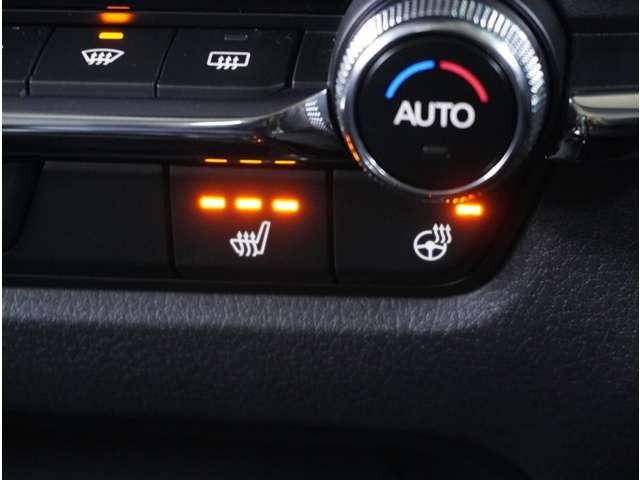 ＣＸ－３０ ２．０　２０Ｓ　ツーリング　当社デモカー　３６０°ビュー・モニター　禁煙　パワーリアゲート　レーダークルーズコントロール　アイドリングストップ　コーナーセンサー　運転席パワーシート　スマートキー　フルセグＴＶ　ＬＥＤ　キーレス（56枚目）