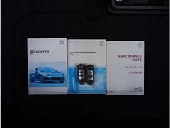 ڽ켰·۴ŪϤ󡢺äΩļ谷򤬳ǧǤƥʥ󥹥-ȡब·äƤȰ¿Ǥޤ͡ 6