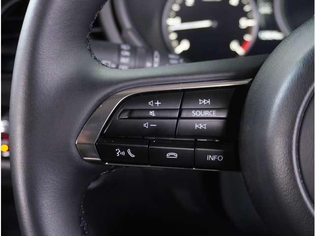 ＣＸ－３０ １．８　ＸＤ　レトロ　スポーツ　エディション　ディーゼルター　ＢＯＳＥ　３６０°ビュー・モニター　ナビ　フルセグ　ＬＥＤヘッドランプ　電動シート　禁煙　シートヒーター　アイドリングストップ　クリアランスソナー　バックカメラ　イモビライザー　メモリーナビ（51枚目）