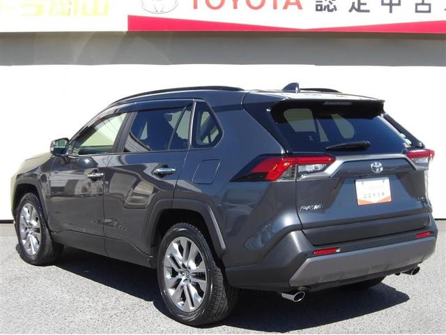 ＲＡＶ４ Ｇ　Ｚパッケージ　４ＷＤ　フルセグ　メモリーナビ　ミュージックプレイヤー接続可　バックカメラ　衝突被害軽減システム　ＥＴＣ　ドラレコ　ＬＥＤヘッドランプ　ワンオーナー（6枚目）