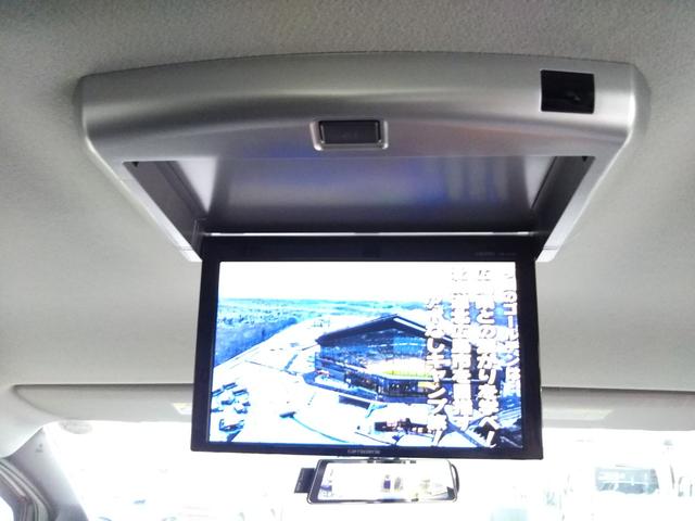 �N���}�I�т͂b�b�j���������ȂP��𐥔�I���q�l�̂��Ԃ��v���̖ڂł��ǂ��P����v���f���[�X���܂��I�����x���X�ɗV�тɗ��Ă���������