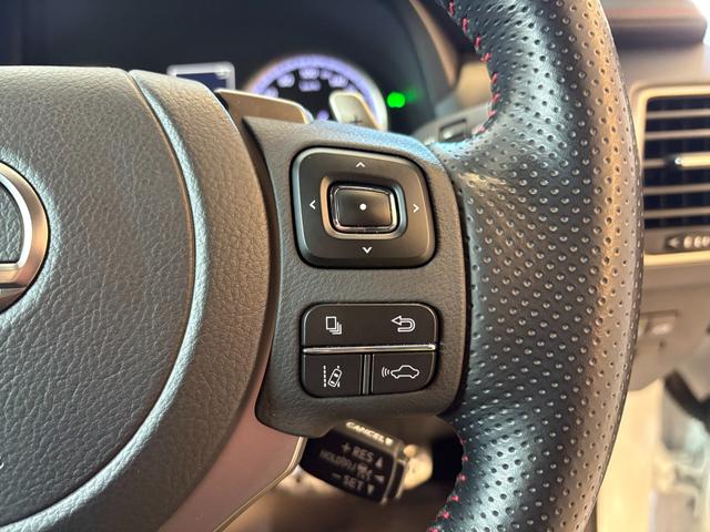 NX NX300h Fスポーツ サンルーフ 赤革エアーシート 同色フェンダーアーチモール ES用純正19AW 純正ワイドSDナビ バック・サイドモニター フロント・リアドライブレコーダー ブラインドスポットモニター 3眼LEDヘッドライト・フォグ Goo鑑定車(30枚目)