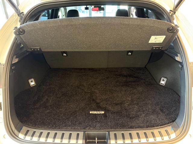 NX NX300h Fスポーツ サンルーフ 赤革エアーシート 同色フェンダーアーチモール ES用純正19AW 純正ワイドSDナビ バック・サイドモニター フロント・リアドライブレコーダー ブラインドスポットモニター 3眼LEDヘッドライト・フォグ Goo鑑定車(42枚目)