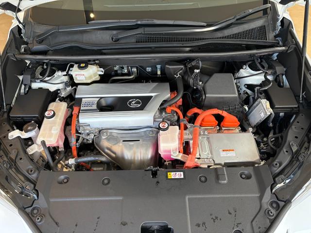 NX NX300h Fスポーツ サンルーフ 赤革エアーシート 同色フェンダーアーチモール ES用純正19AW 純正ワイドSDナビ バック・サイドモニター フロント・リアドライブレコーダー ブラインドスポットモニター 3眼LEDヘッドライト・フォグ Goo鑑定車(46枚目)